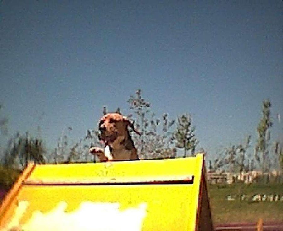 Visor