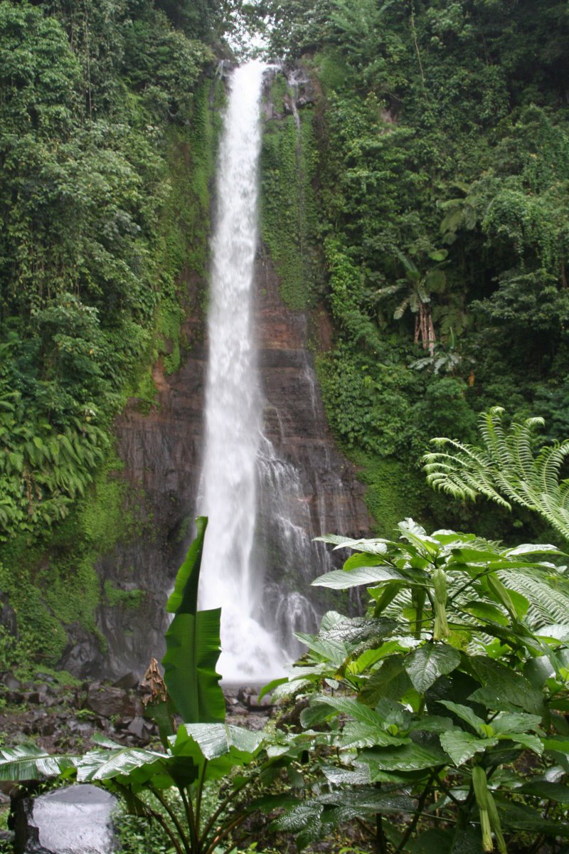 cascadas de Bali
