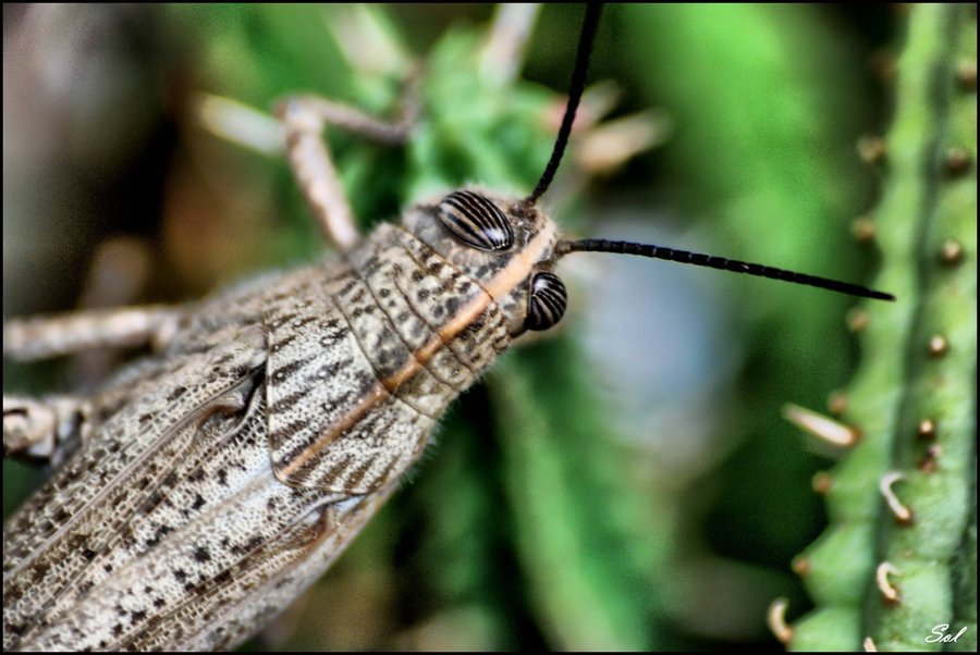 Mis fotos de los foros de dic/09