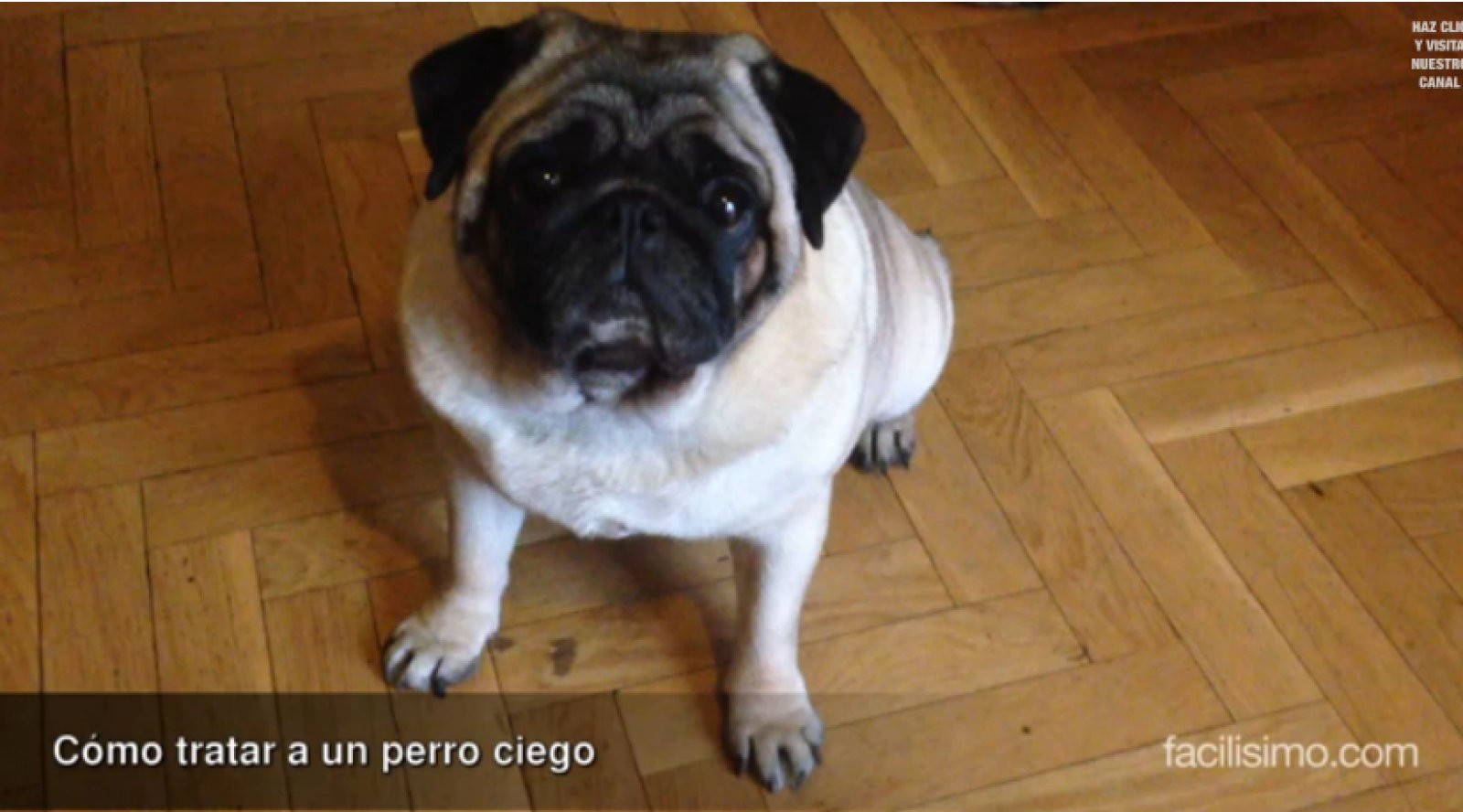 Imagen 0