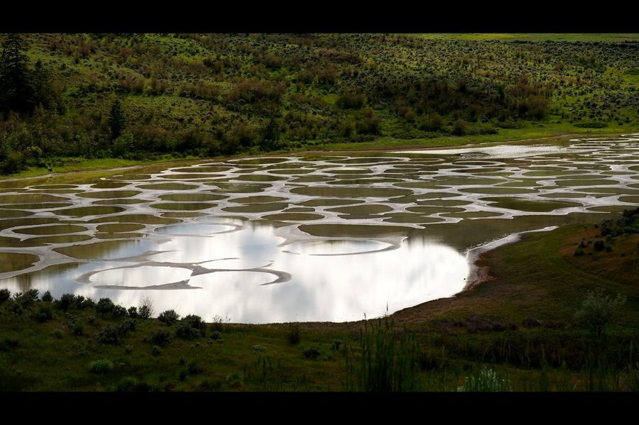 Spotted Lake - Flickr - bulliver
