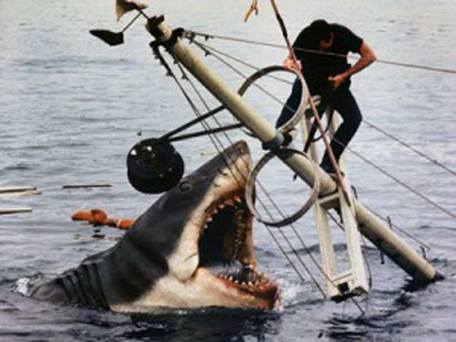 Tiburón