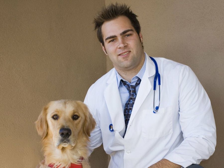 Veterinario