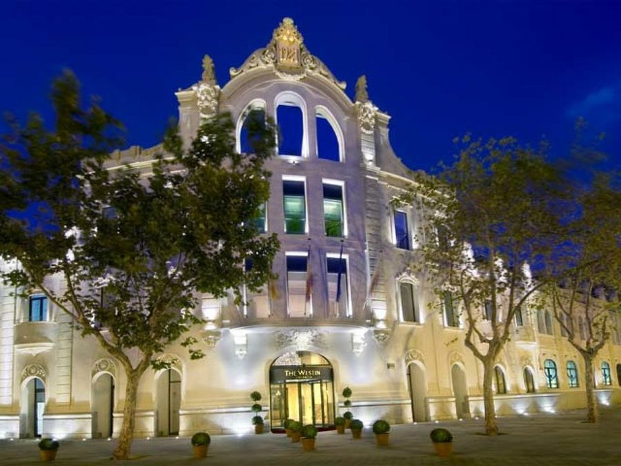 hotel de lujo para mascotas