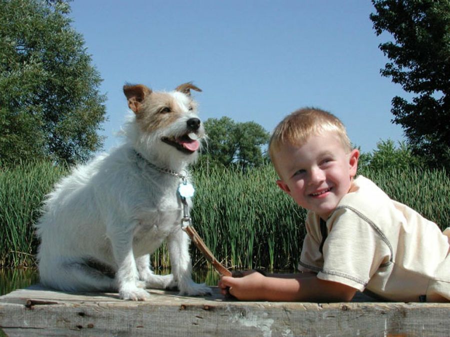 niño con perro