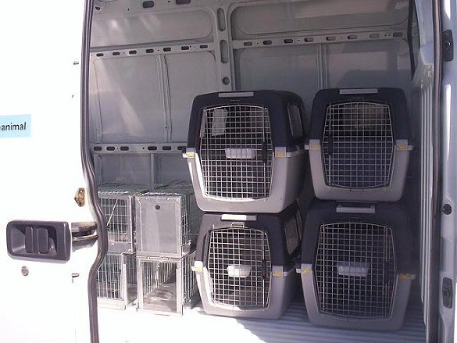 jaulas interior ambulancia