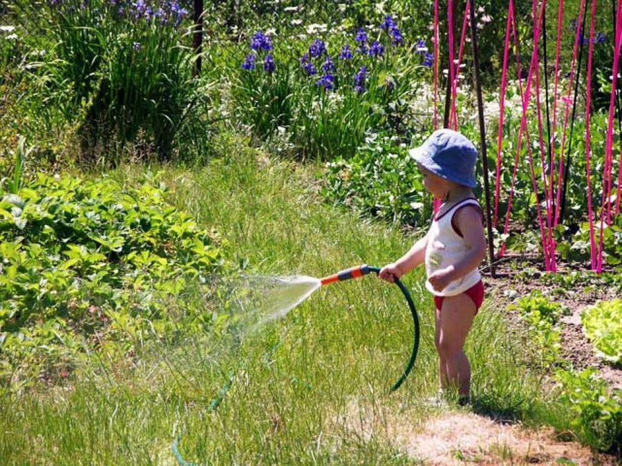 niño regando