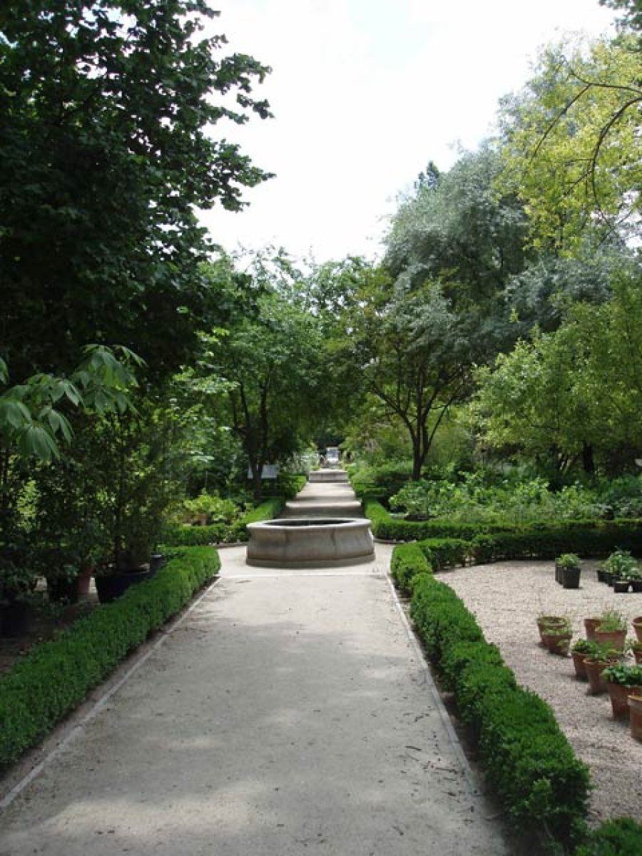 jardín botánico madrid