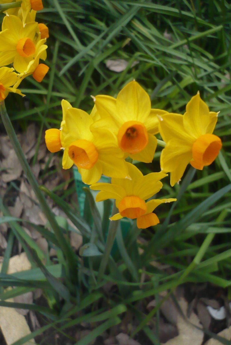 Jardín Botánico de Córdoba