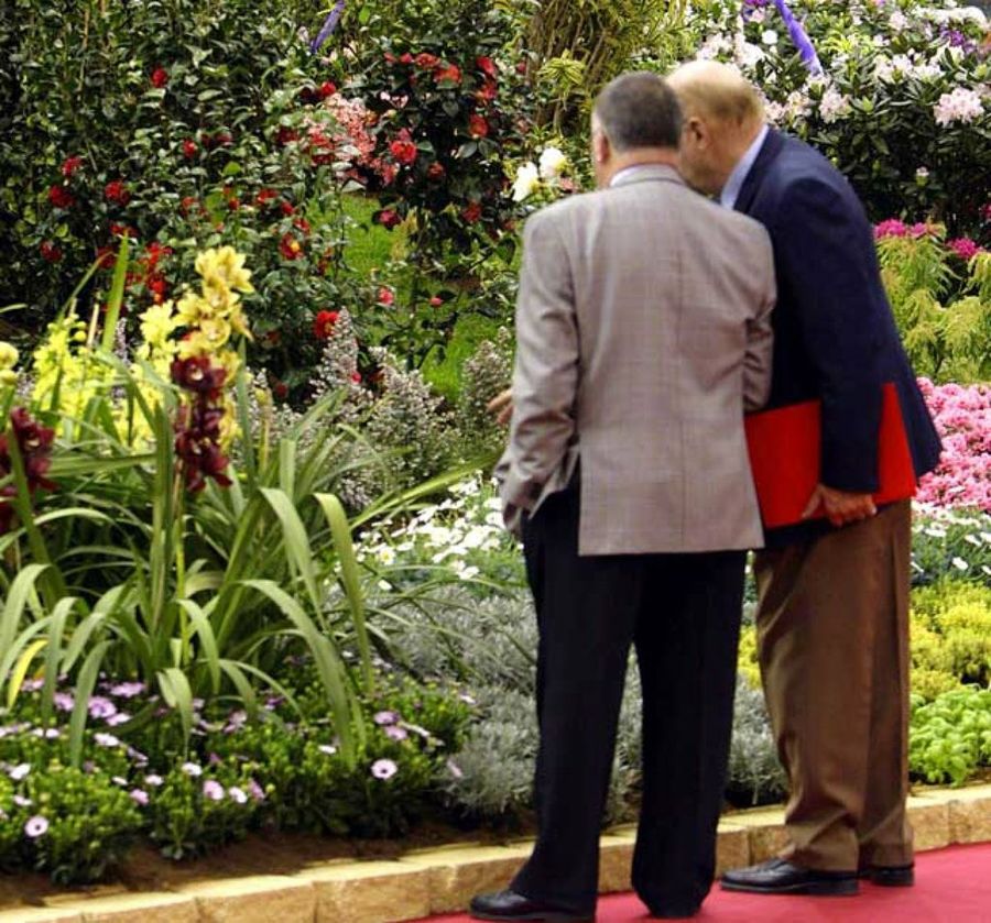 exposición flores y plantas