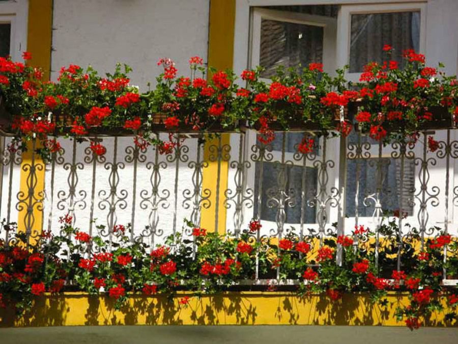terraza con flores