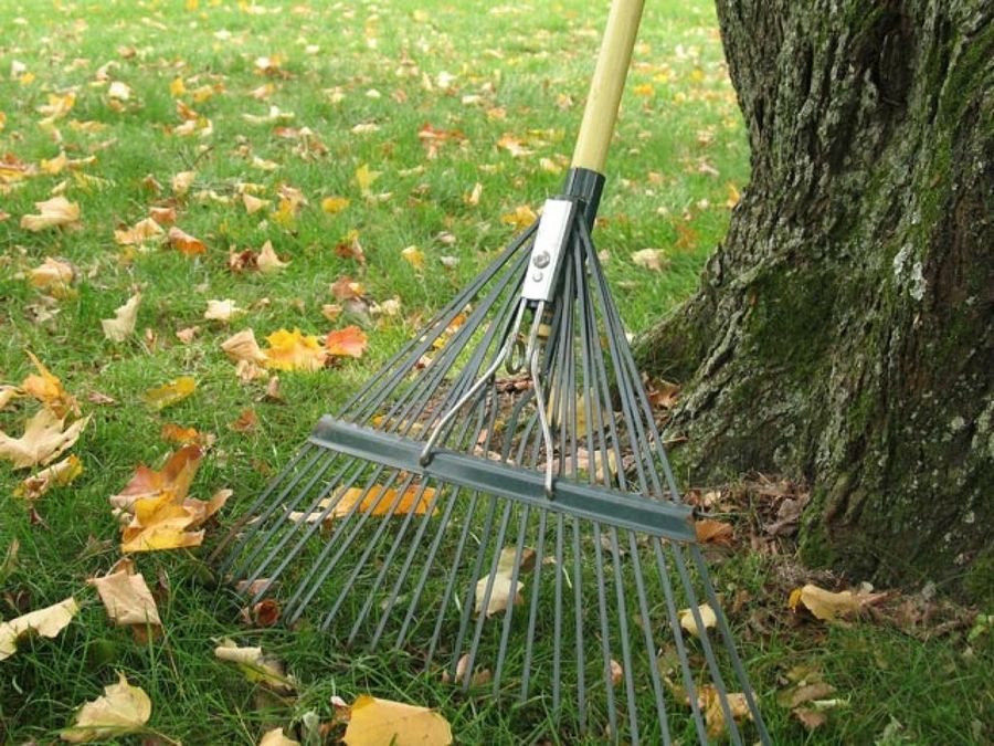 escoba de hojas en otoño