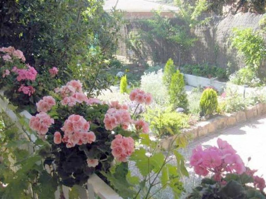 Jardín de Patricia