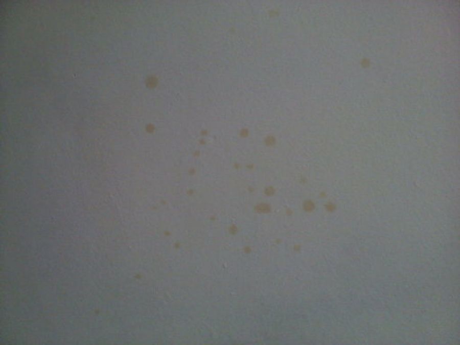  manchas en pared