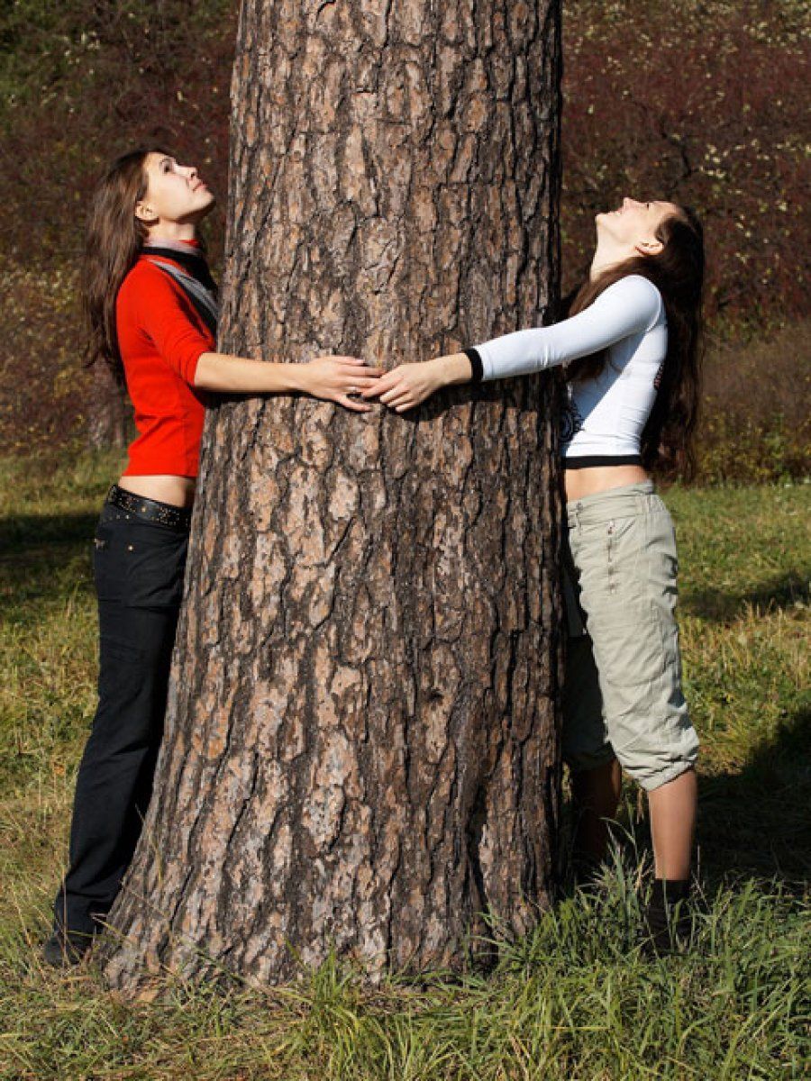 abrazando un árbol