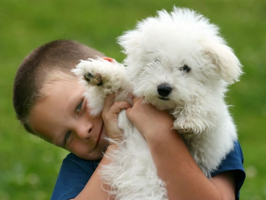Niño sonriendo junto a su perro