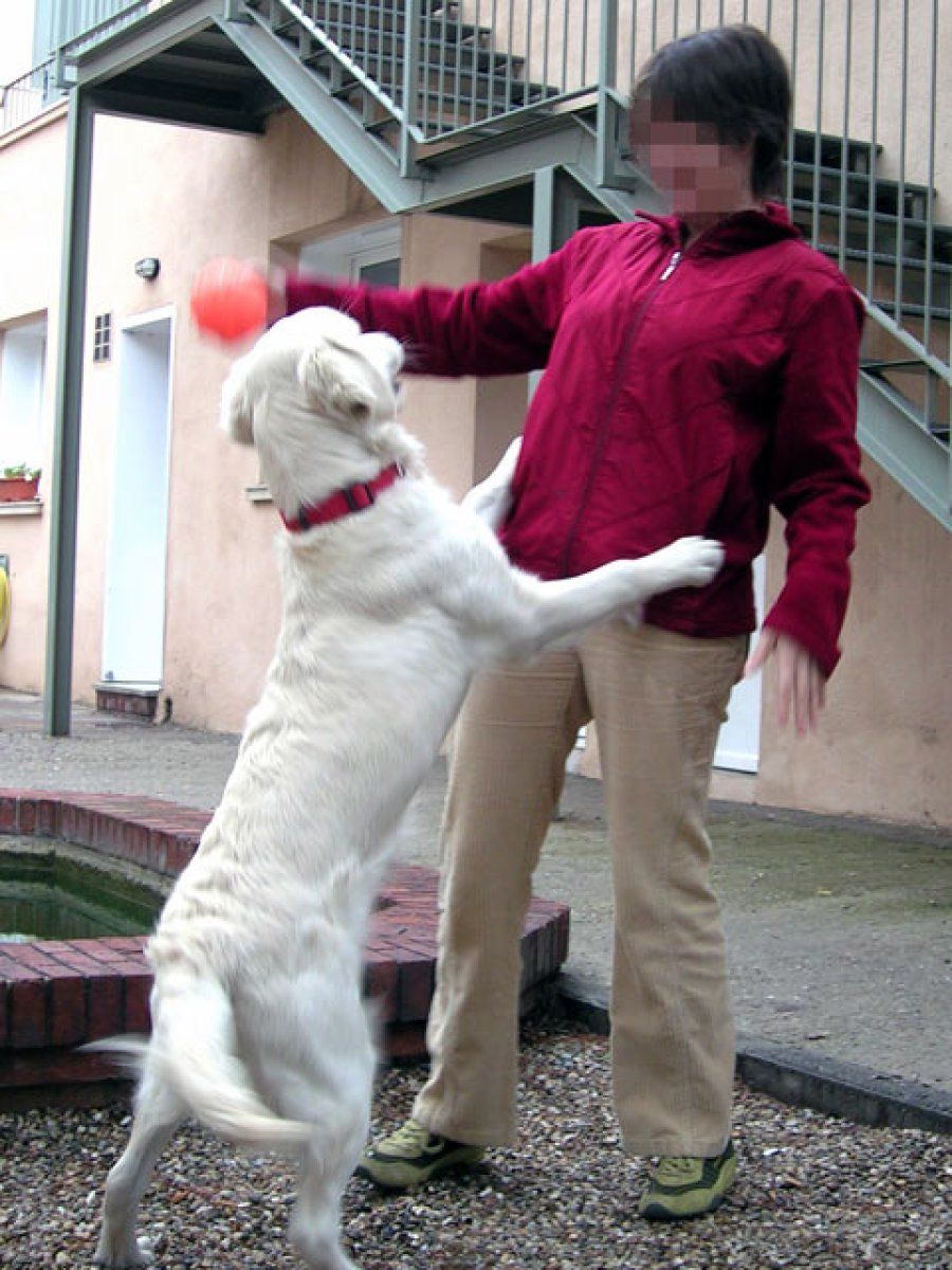 niño de rojo con perro