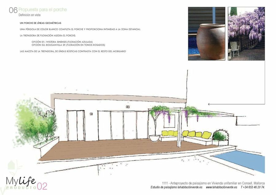 Imagen 5