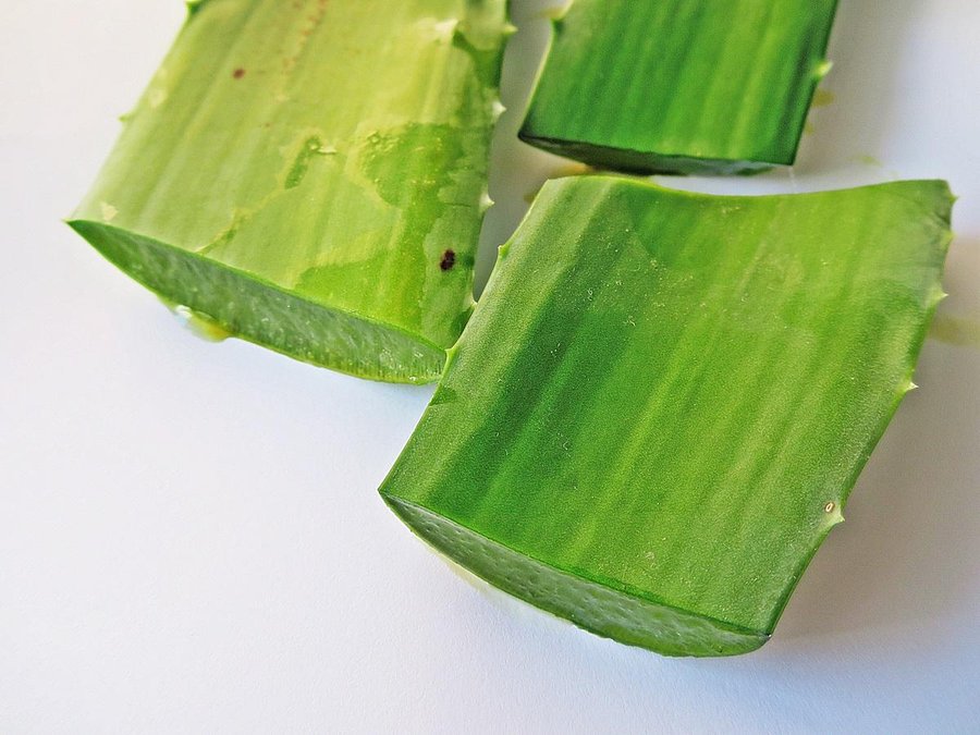 How to Use Coffee and Aloe Vera for Skincare