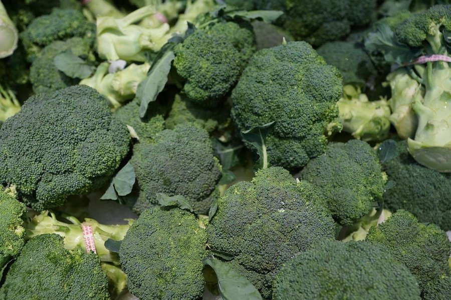 How to Grow Broccoli Without Seed