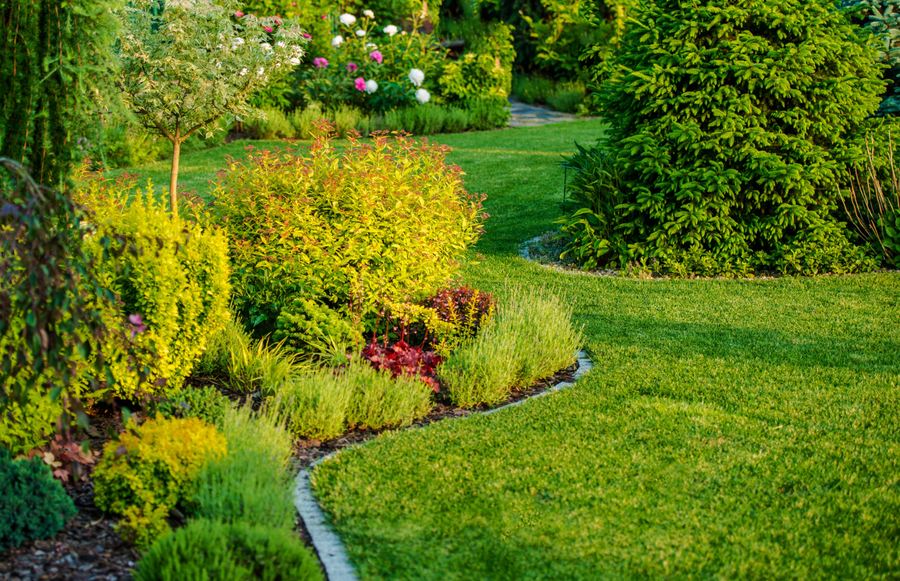 How to Water the Lawn to Have it Always Green