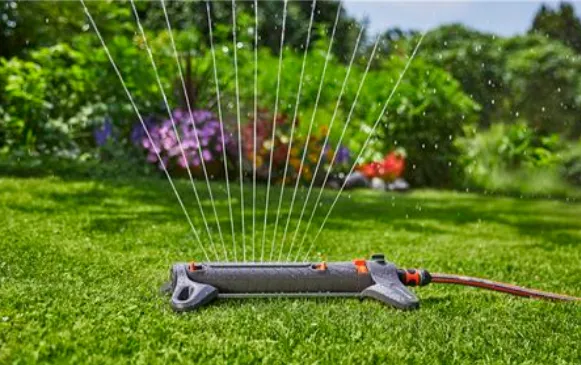 How to Water the Lawn to Have it Always Green