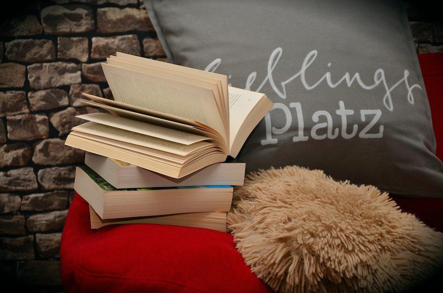Libros, sofá y cojín