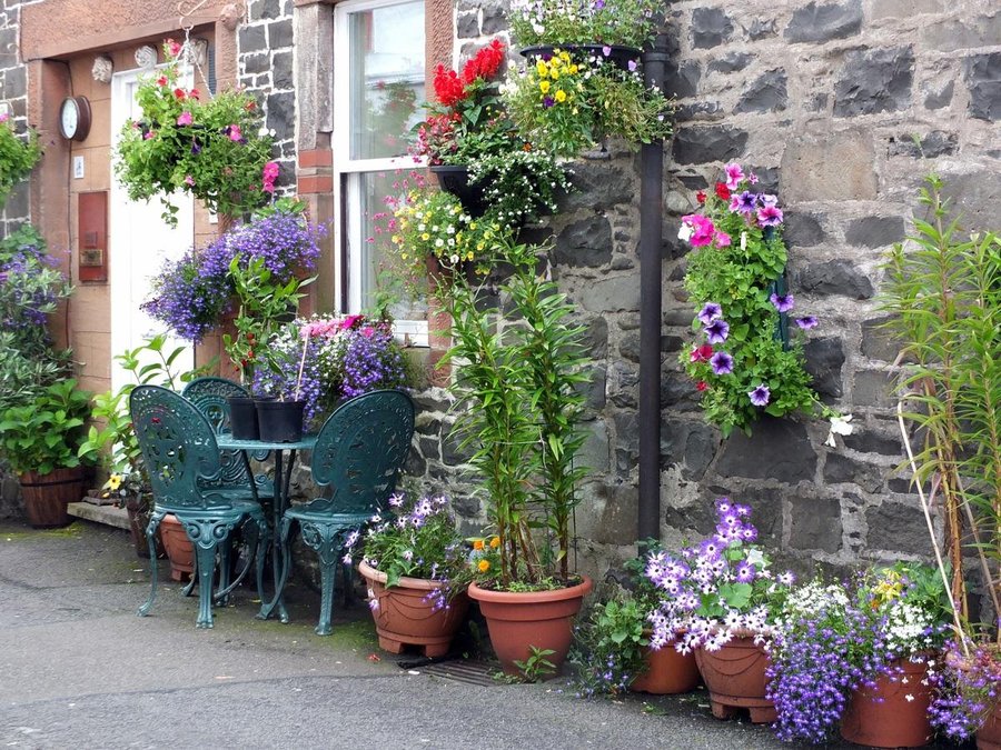 Cartero Prisión mediodía Maravillosos tips para arreglar un jardín pequeño con tus propias manos |  Plantas