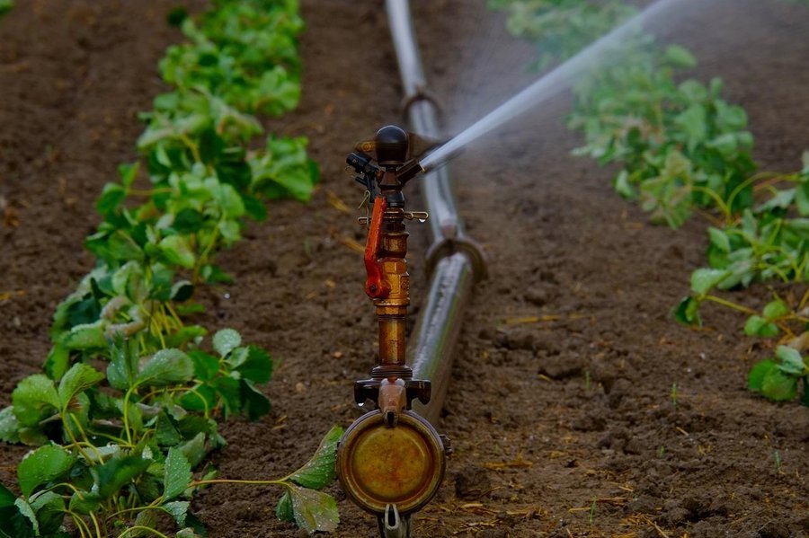 lucha palo Palpitar Beneficios de tener un sistema de riego automatizado | Plantas