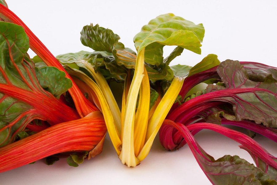 Trucos para almacenar verduras en la nevera