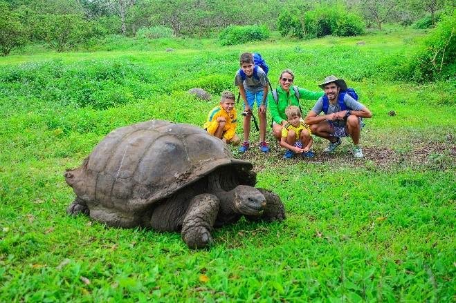 VIVE LA MAGIA DE LAS ISLAS ENCANTADAS POR MAR Y TIERRA | Entretenimiento