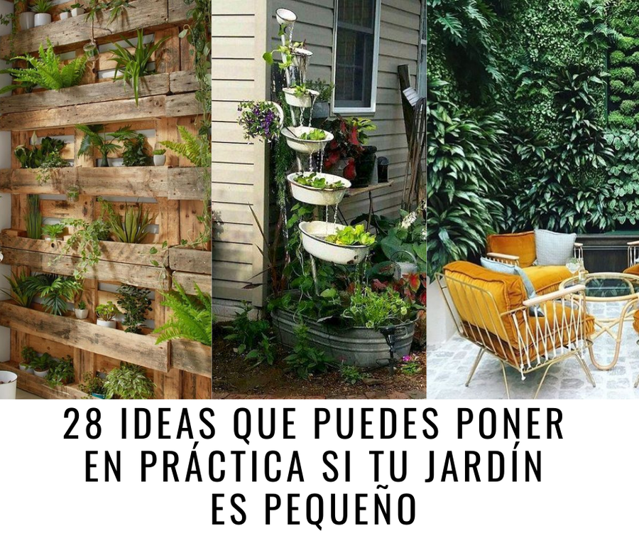 Reportero Pico Morgue 28 ideas que puedes poner en práctica si tu jardín es pequeño | Plantas