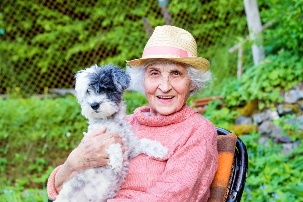 Edad real del perro: cálculo exacto en años humanos